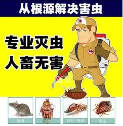 文章插图