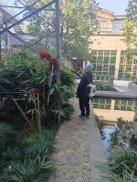 湖州南浔灭害虫哪家好价格实惠