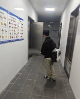 湖州安吉灭害虫最有效的办法？家里白蚁蟑螂杀不完怎么办