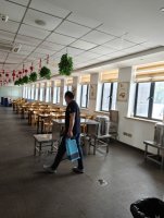 湖州安吉灭跳蚤公司哪家好？家里有跳蚤怎么办