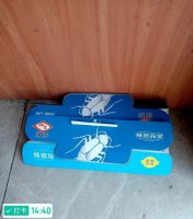 灭蚊虫湖州南浔哪家强？

南浔灭蚊虫哪里服务好？

南浔灭蚊虫哪家效果佳？