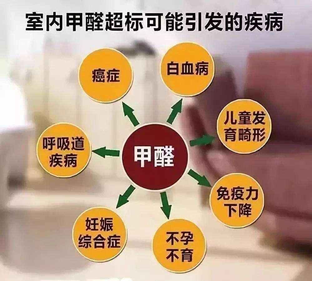 新房味道大不敢住？专业除醛一步到位，认准醛之净环保