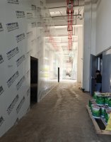 湖州灭害虫 家里蟑螂多怎么彻底根除