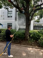湖州灭臭虫哪家好？专业除虫服务推荐