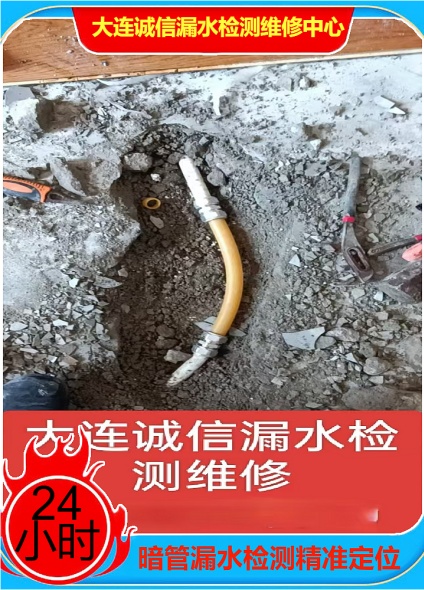 文章插图
