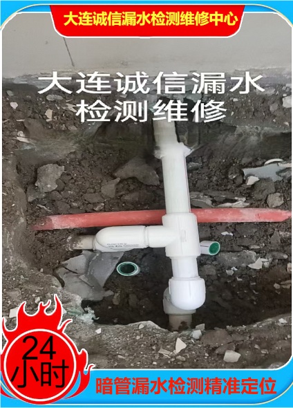 文章插图