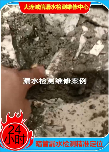 文章插图