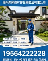 湖州南浔专业灭跳蚤服务哪家好