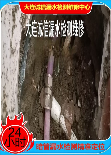文章插图