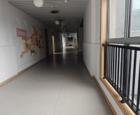 湖州长兴家里白蚁怎么彻底消灭