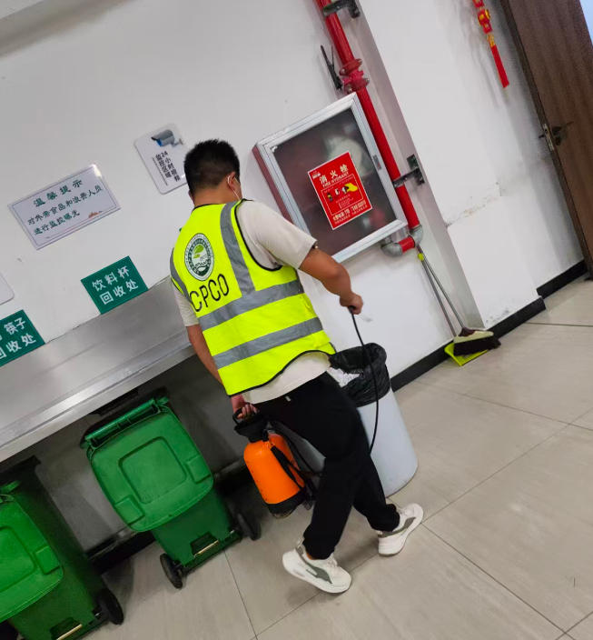 鼠害防治工作应该如何进行，怎样做效率高？-- 河南燕峰有害生物防治有限公司