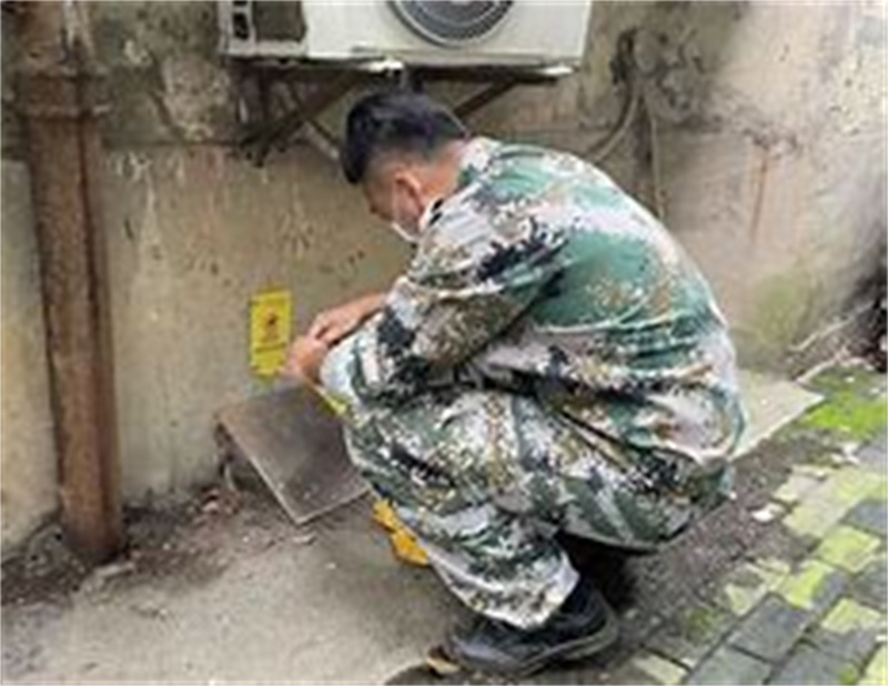 常州灭白蚁什么时候做合适家庭白蚁防治注意事项