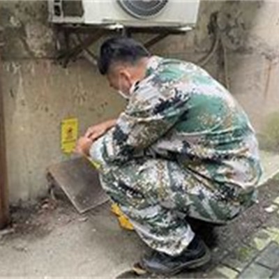常州灭白蚁什么时候做合适家庭白蚁防