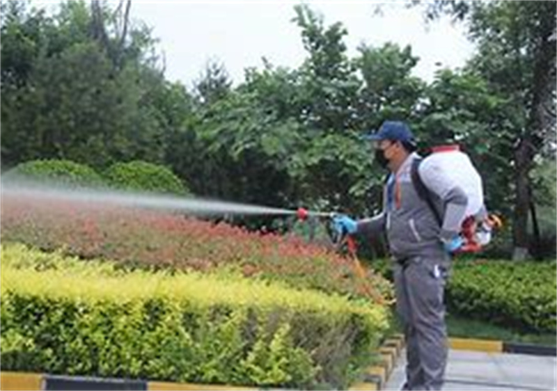 常州灭老鼠方法室内外老鼠滋生原因与根治技巧