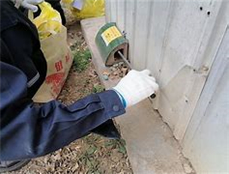 常州家庭灭白蚁流程新房旧房白蚁防治区别