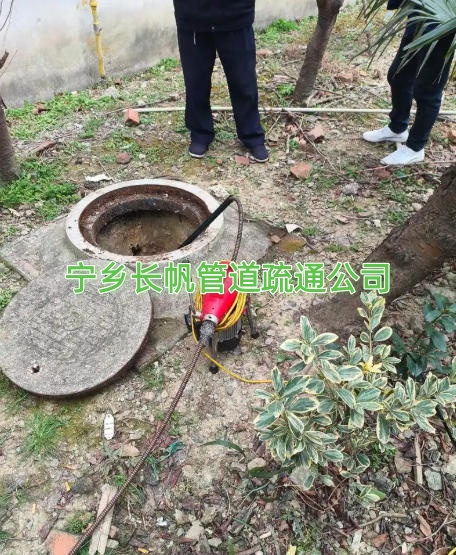 文章插图