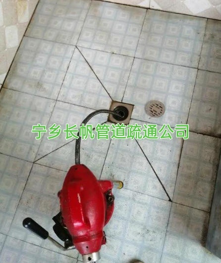 文章插图