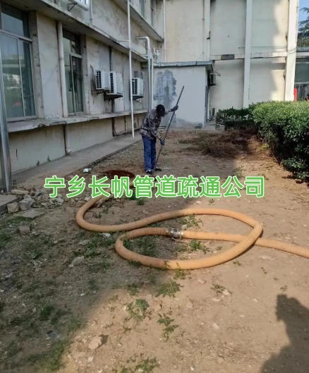 文章插图