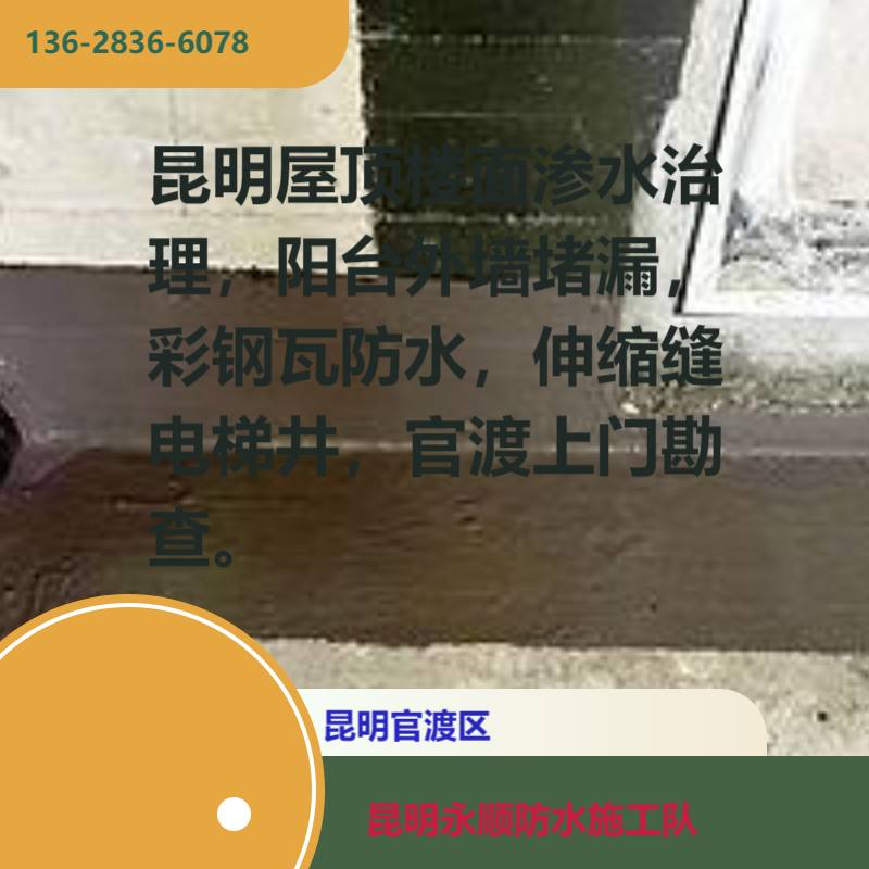 文章插图